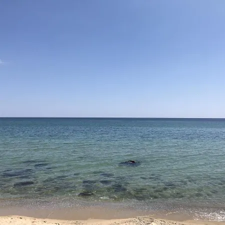 Apartment Pearl Beach In The Cliff